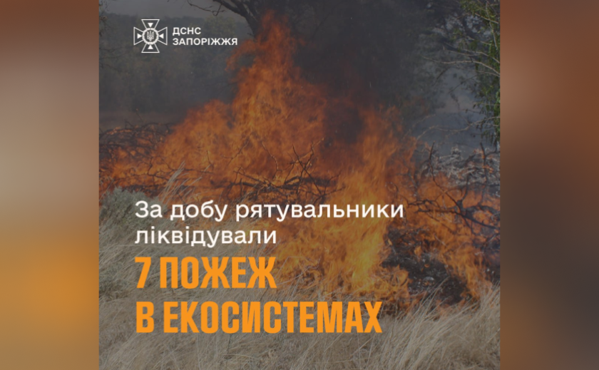 За минулу добу рятувальники Запоріжжя ліквідували 7 пожеж в екосистемах
