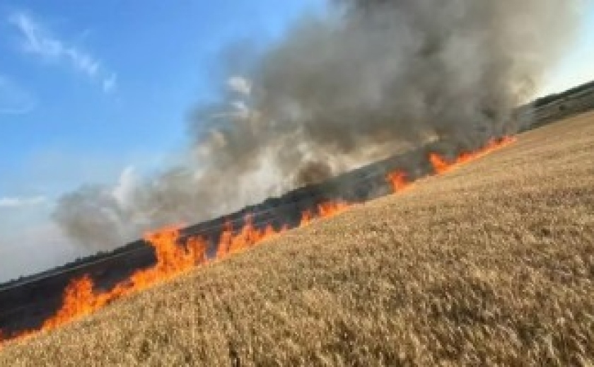 У Запорізькій області через обстріл військ рф згоріло майже 4 га хліба