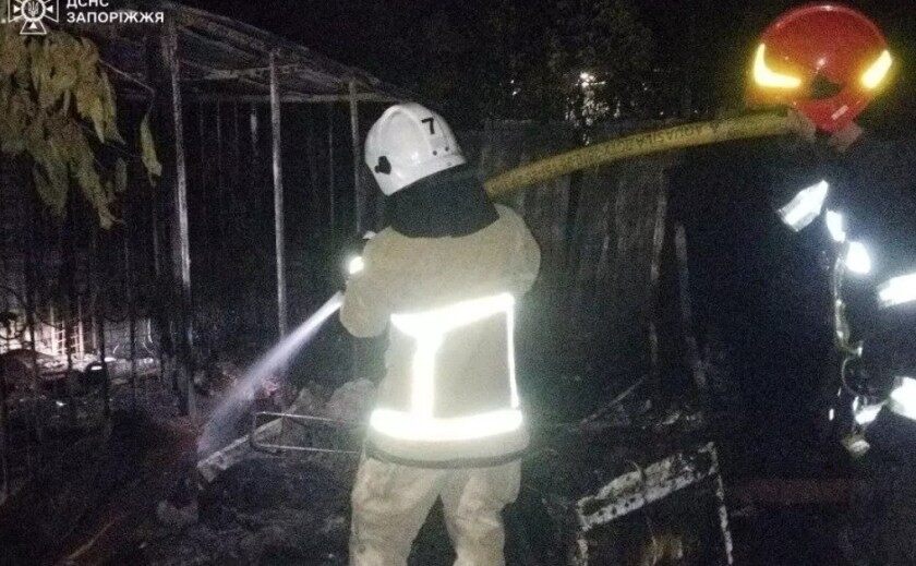 У Запоріжжі у притулку для тварин сталася пожежа: загинули 8 собак
