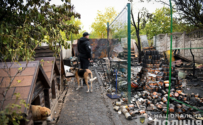 Запорізькі поліцейські відкрили кримінальне провадження за фактом пожежі в притулку для тварин