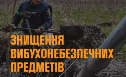 На Запоріжжі піротехніки ДСНС знешкодили мінометну міну часів минулих війн