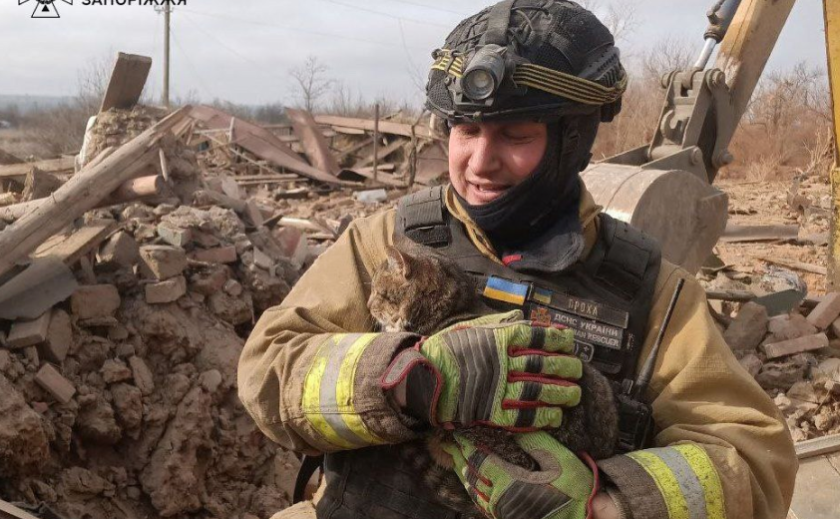 Надзвичайники Запоріжжя врятували кота з-під завалів після російського обстрілу Надзвичайники Запоріжжя врятували кота з-під завалів після російського обстрілу