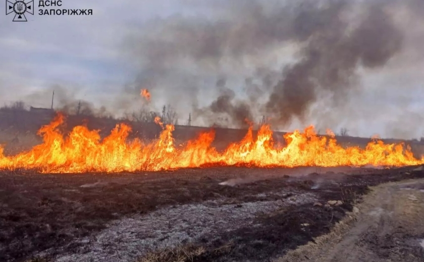 Впродовж доби вогнеборці Запорізької області ліквідували 5 пожеж на відкритих територіях Впродовж доби вогнеборці Запорізької області ліквідували 5 пожеж на відкритих територіях