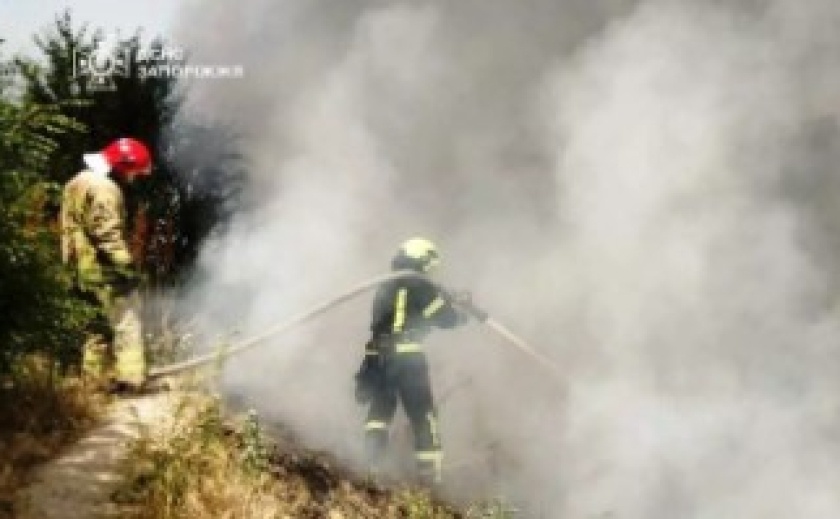 За минулу добу на території Запорізької області рятувальники ліквідували 9 пожеж в екосистемах