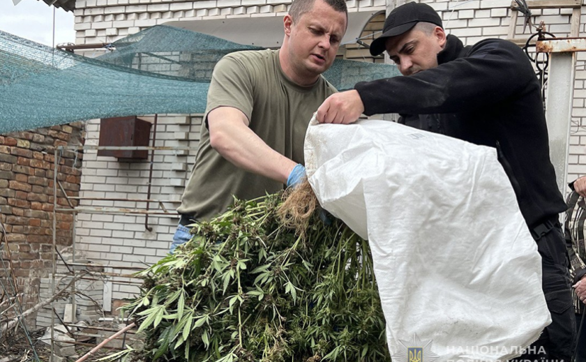 У Запорізькій області з початку року вилучили понад 54 кг наркотиків