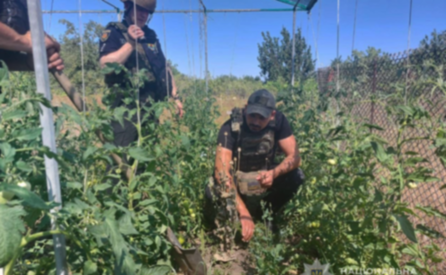 Запорізькі поліцейські ліквідували наркопосів у Пологівському районі