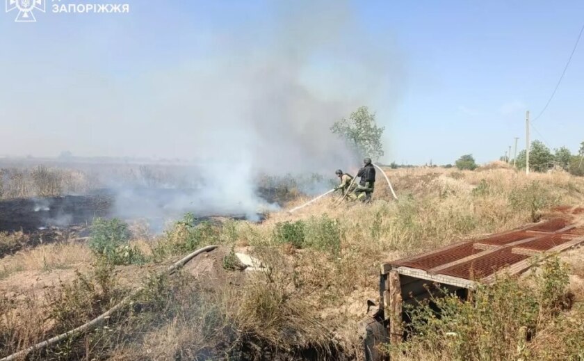 За минулу добу на території Запорізької області рятувальники ліквідували 26 пожеж в екосистемах