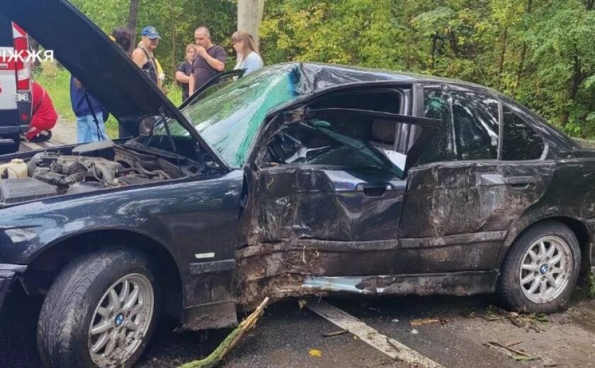 У Запоріжжі внаслідок ДТП травмувалося дві людини