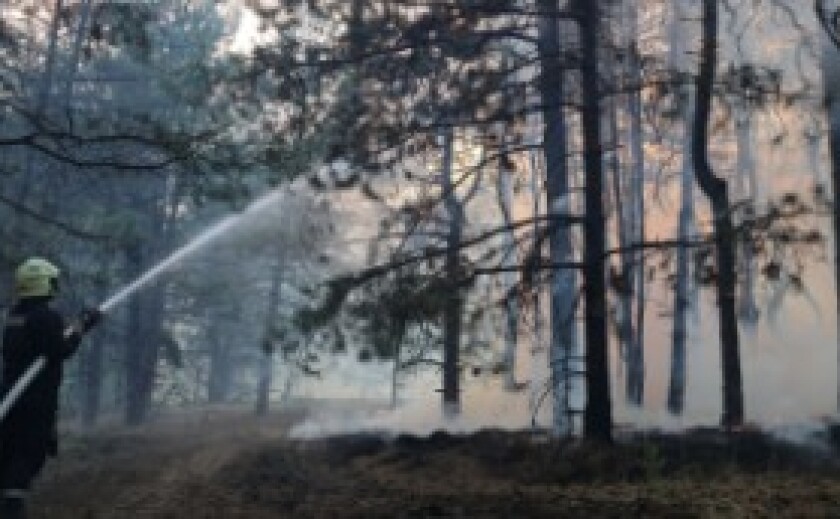 На Запоріжжі рятувальники ліквідували 11 пожеж в екосистемах