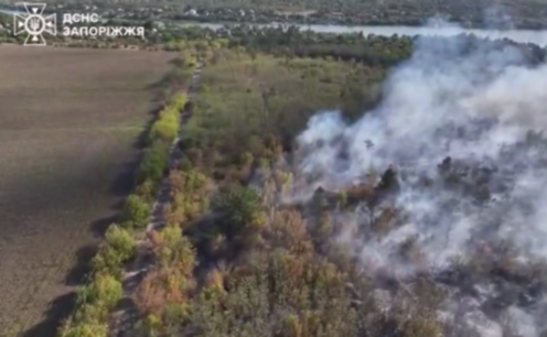 У Запорізькому районі ліквідовано масштабну пожежу сухостою