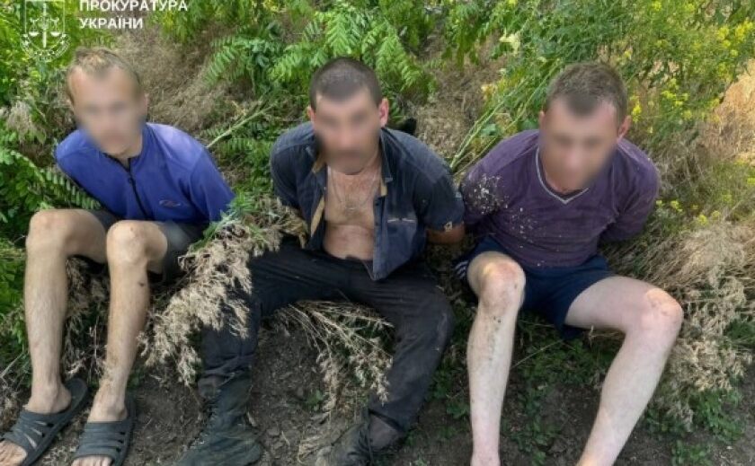 Вирубкою дерев завдали шкоди довкіллю на майже 900 тис. грн: у Запоріжжі викрито групу осіб