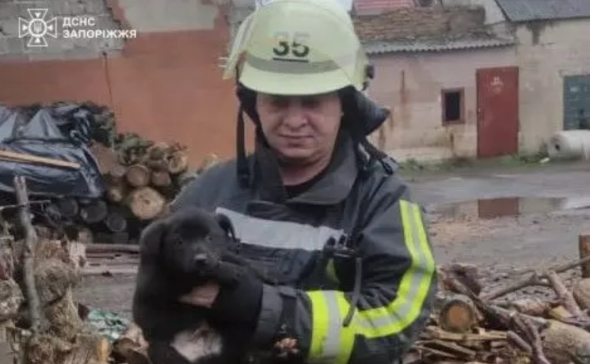 Запорізькі рятувальники дістали цуценя з ями