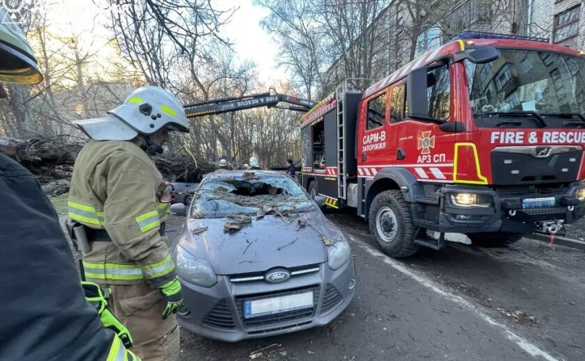 У Запоріжжі внаслідок негоди дерева впали на автівки та проїжджу частину