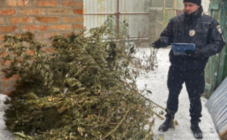У Запоріжжі поліцейські вилучили у містянина 5 кілограмів канабісу