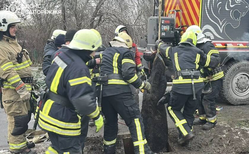 У Запоріжжі надзвичайники дістали корову з колодязя