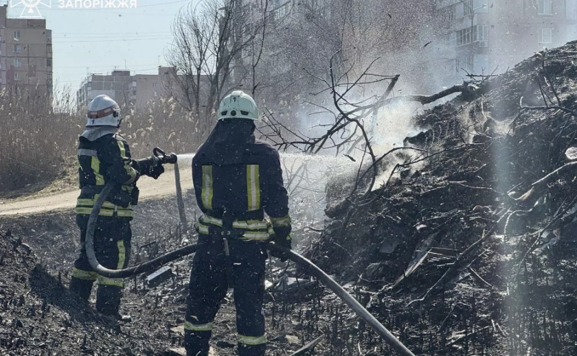 За минулу добу на Запоріжжі рятувальники ліквідували чотири пожежі в екосистемах