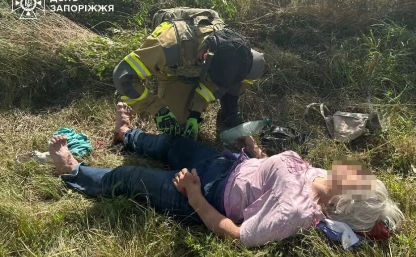 У Запорізькому районі водійка не впоралася з керуванням та врізалася у дерево