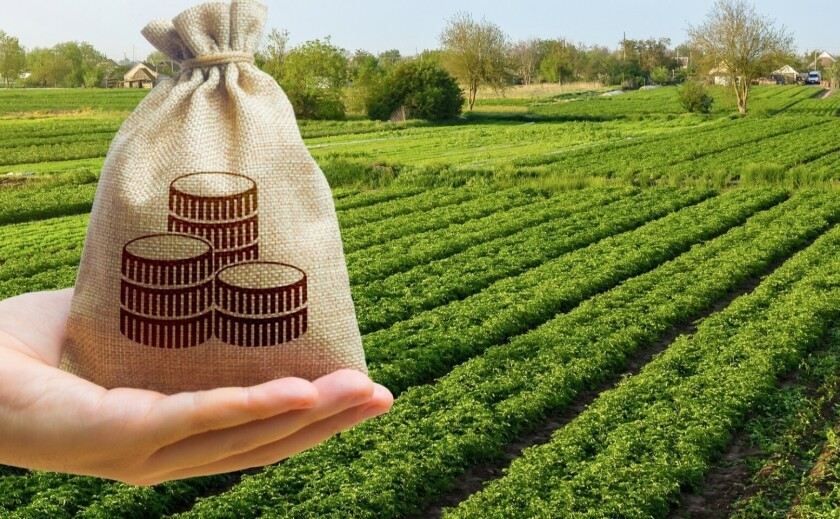 До бюджету Запоріжжя повернули понад 1,6 млн грн за користування землею без договору оренди